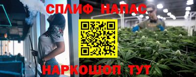 шишки Ливны